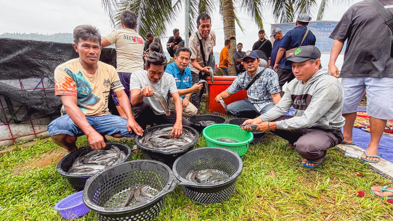 "Masyarakat Desa Pelapis, Kabupaten Kayong Utara, merayakan panen perdana ikan lele di awal Januari 2026. (Dok. HO/Faktakalbar.id)"