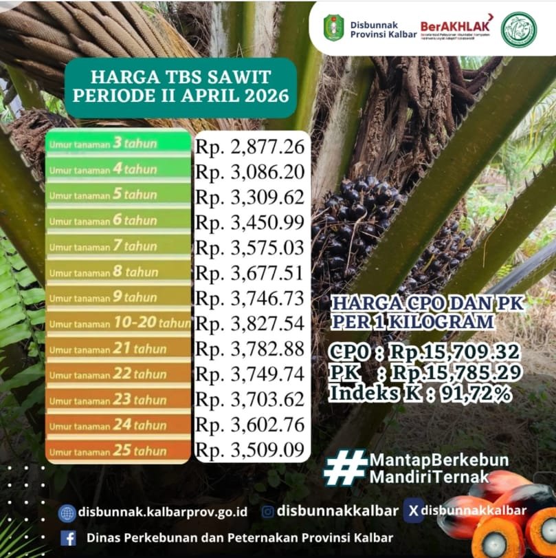 Daftar Harga TBS Sawit Priode II April 2026. (Dok. Disbunnak Kalbar) 