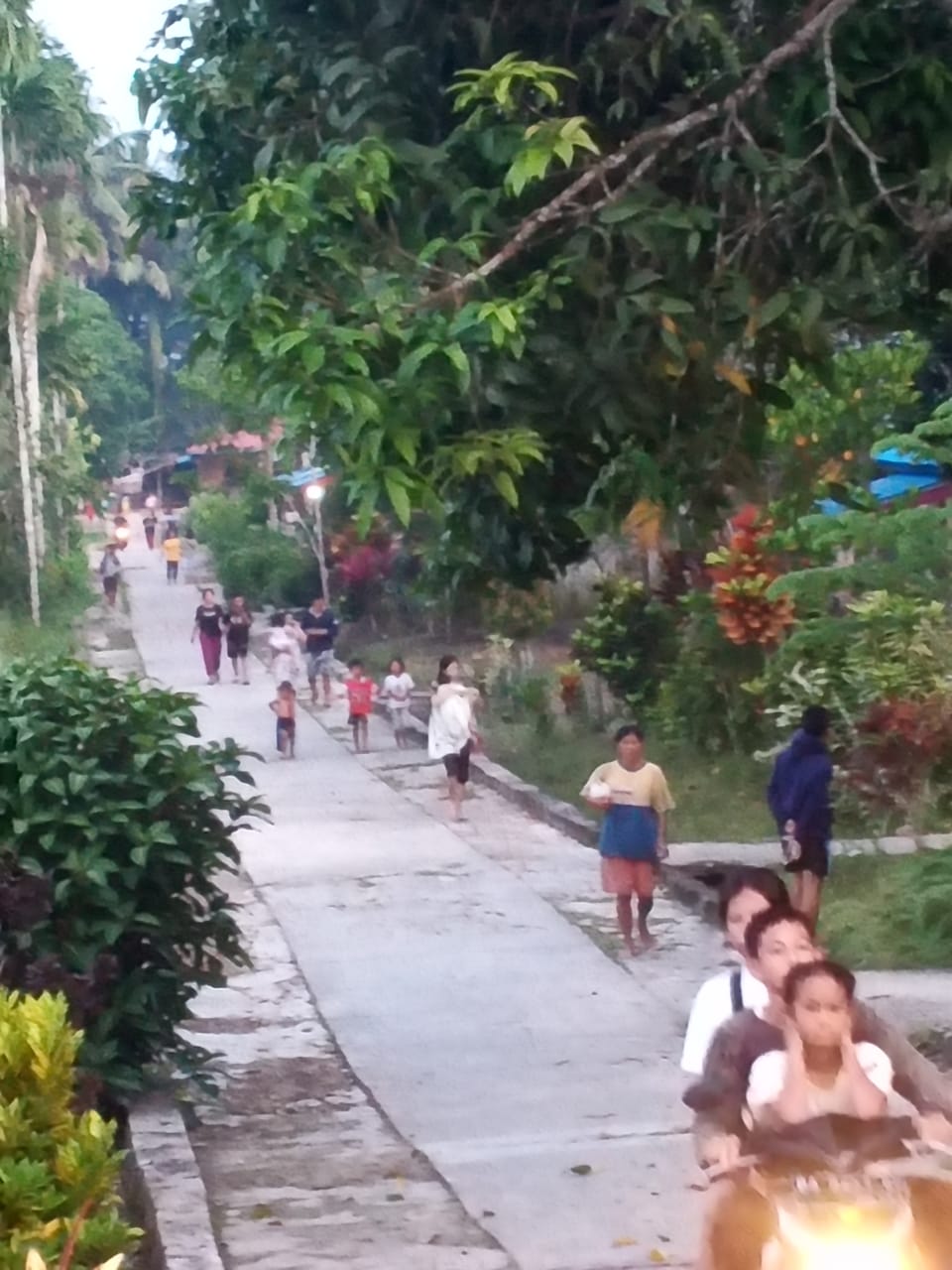 Kepanikan Tatkala Kepulauan Mentawai Dua Kali Diguncang Gempabumi