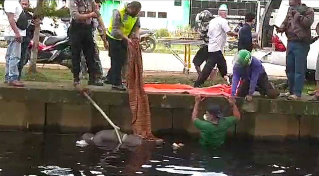 Geger Penemuan Mayat Terapung di Parit Serdam