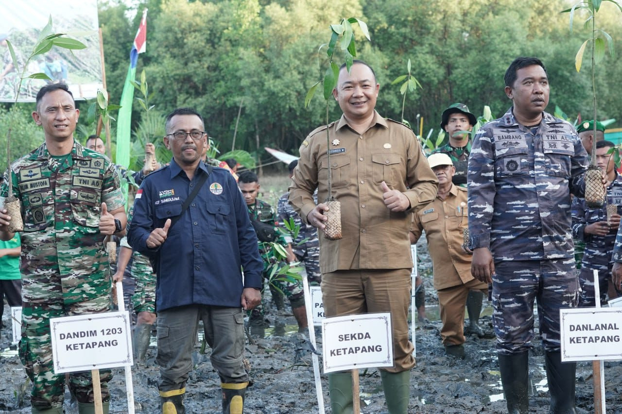 Sekda Ketapang Turun Menanam Mangrove di Acara Puncak Penanaman Mangrove Nasional