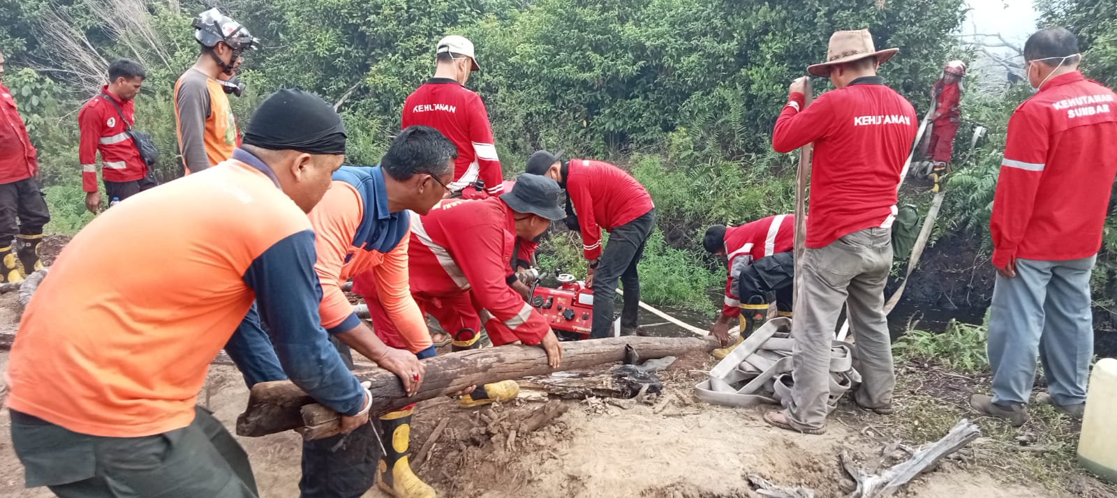 120 Hektar Telah Terbakar di Pesisir Selatan, Upaya Pemadaman Terus Dilakukan