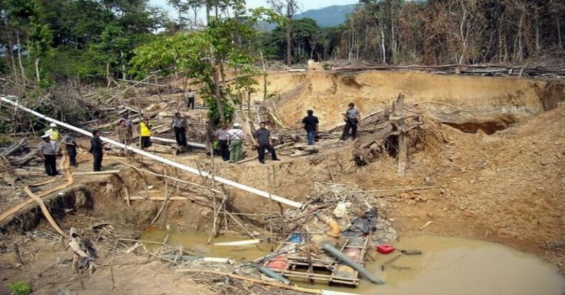 Gila !, PPATK Ungkap Nilai Transaksi Pertambangan Ilegal Capai Rp 20 T