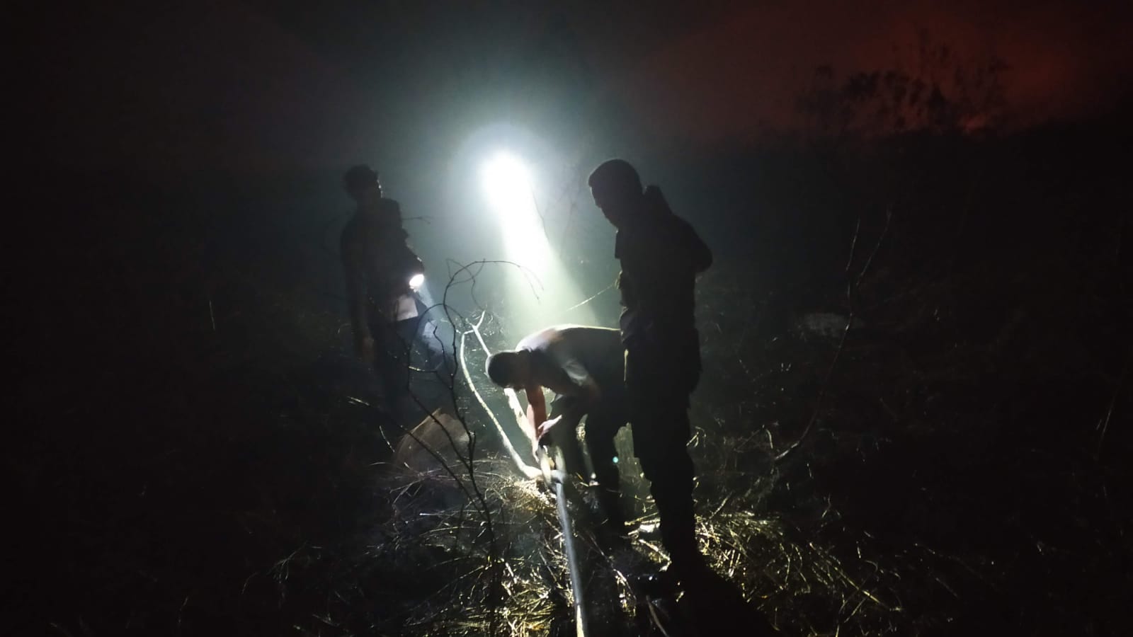 Seorang Warga Ditangkap Gara-gara Bakar Lahan