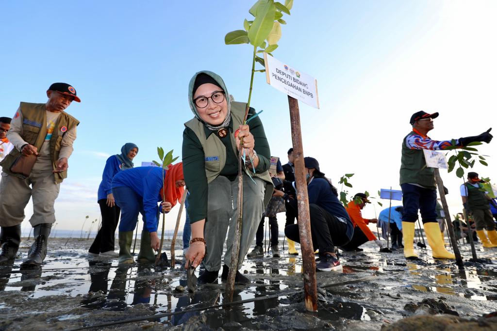 BNPB dan Pemprov Sultra Tanam 7.000 Bibit Mangrove Guna Kurangi Risiko Bencana