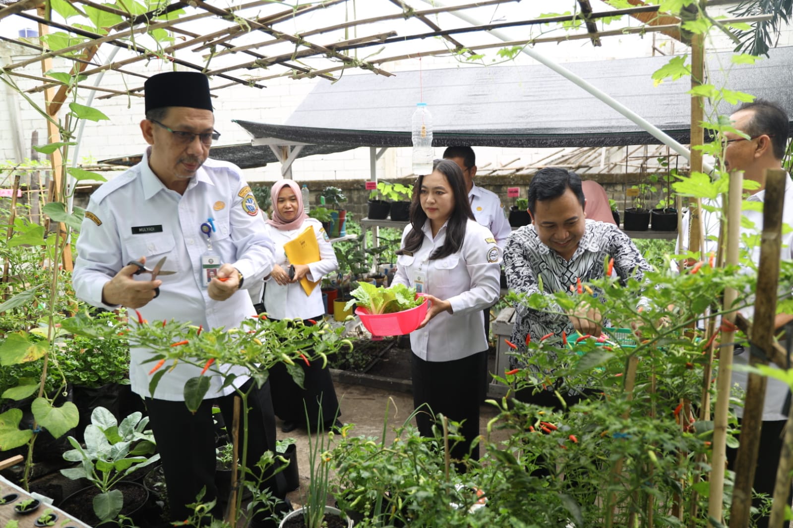 Meriahkan Hari Jadi Pontianak Lewat Gerakan Menanam Sayur