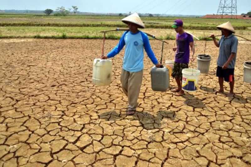 RI Waspada !, El Nino Diprediksi Semakin Parah, Digelar “Gorila El Nino”