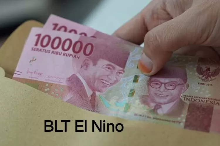 Dampak El Nino, BLT El Nino pun Meluncur