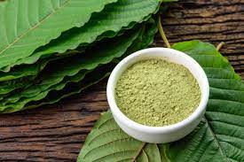 Tata Kelola Perdagangan Kratom Masih Sangkut di BNN,Kemenkes dan BPOM