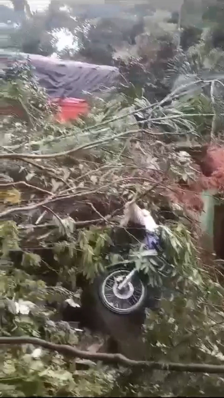 Satu Keluarrga Didalam Mobil Tewas Terdampak Material Longsor