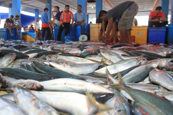 Tanda Kiamat Muncul Lagi,Ukuran Ikan Laut Mengecil