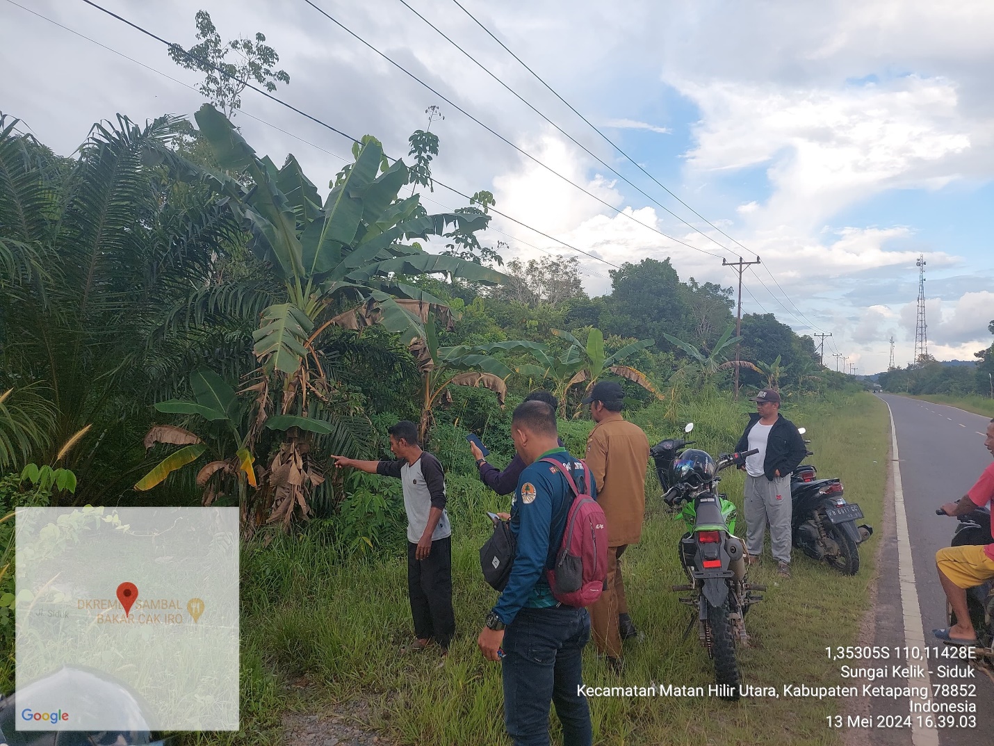 Kemunculan Orangutan di Jalan Raya, BKSDA Kalbar Segera Lakukan Kajian Habitat