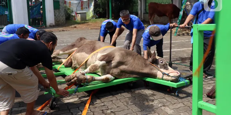 Kurban 2024 di Indonesia Punya Potensi Ekonomi Rp28 Triliun, Ini Penjelasan Peniliti