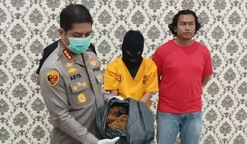 Sita Tembakau Sintetis Rp1 Miliar, Polisi Ciduk Pengedar Narkoba di Depok