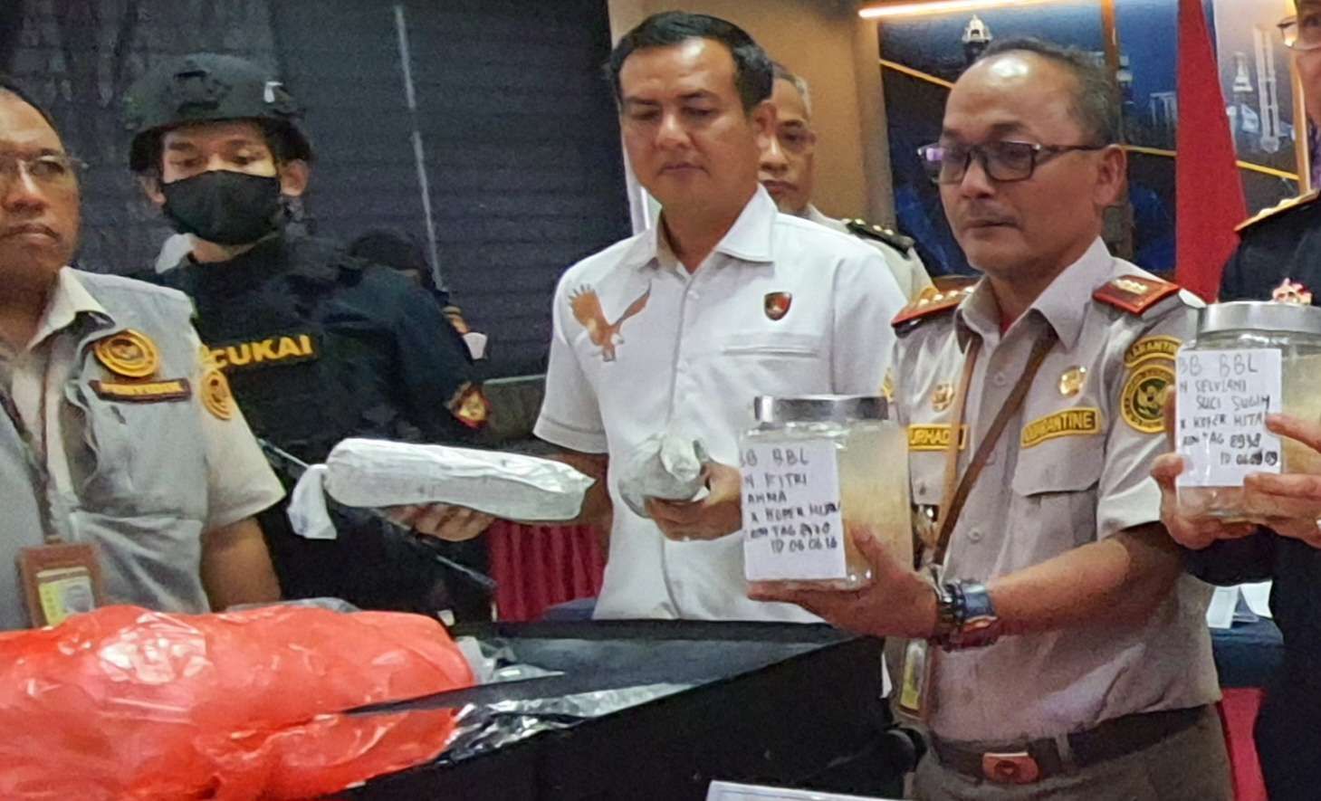 Gudang Benih Bening Lobster di Tangerang Digerebek Baharkam Polri