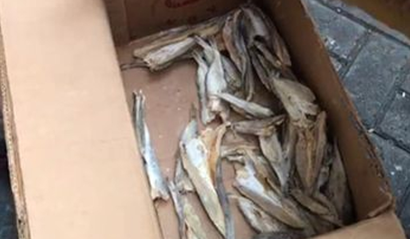 Polda Metro Gagalkan Peredaran 12 Kilogram Ganja yang Disamarkan dalam Timbunan Ikan Asin