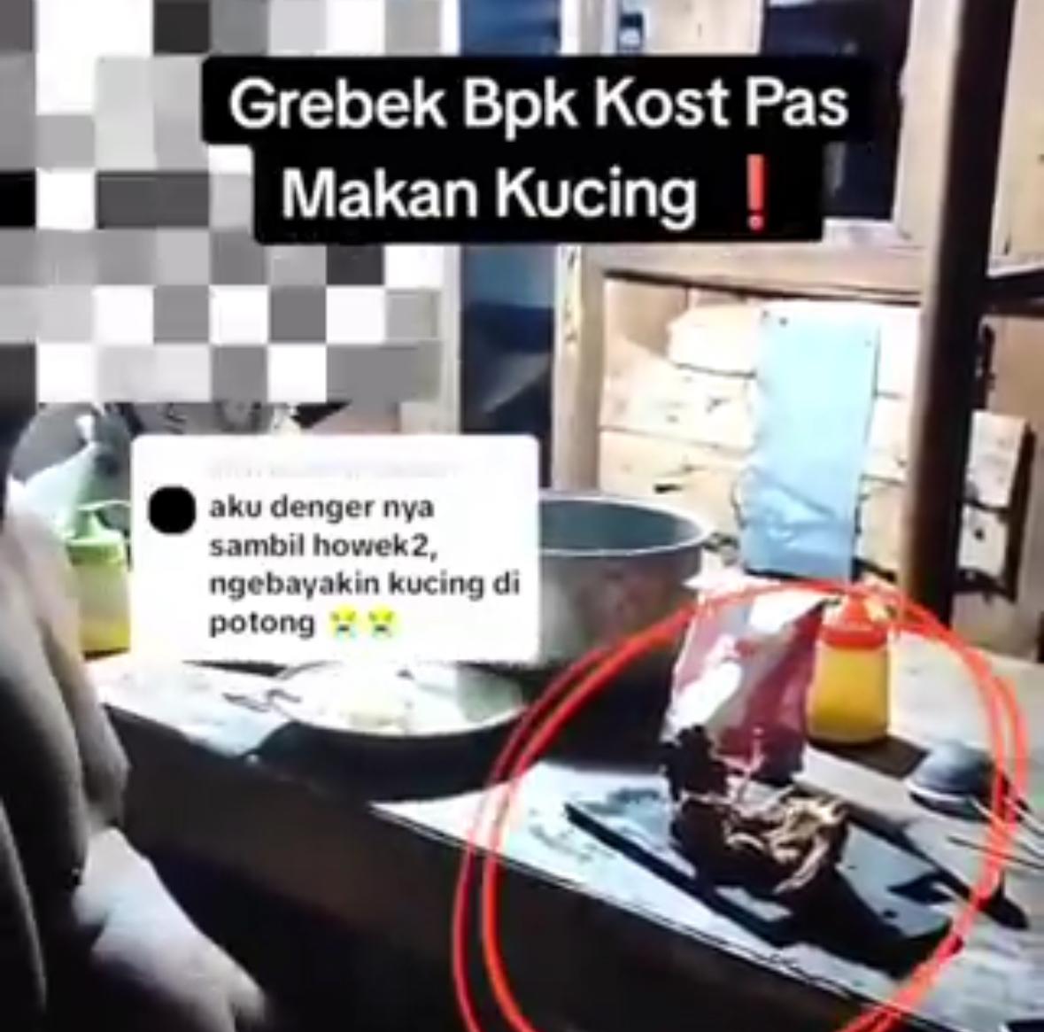 Pemilik Kos Diduga Konsumsi Daging Kucing karena Stres Diabetes
