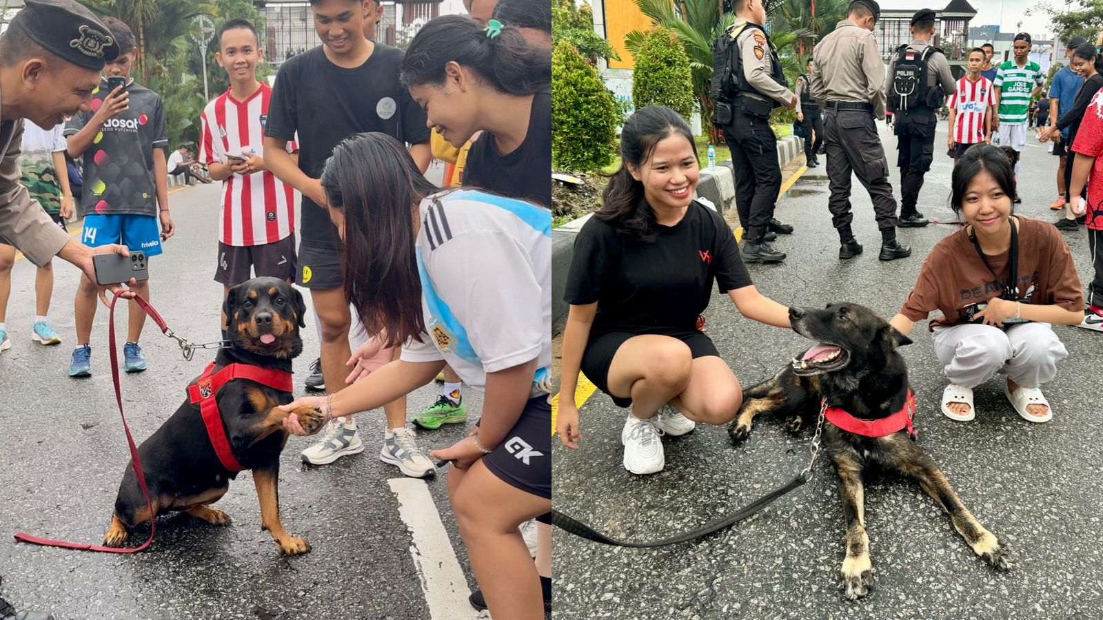 Lexy dan Diesel, Anjing K-9 Polda yang Ramah di Car Free Day