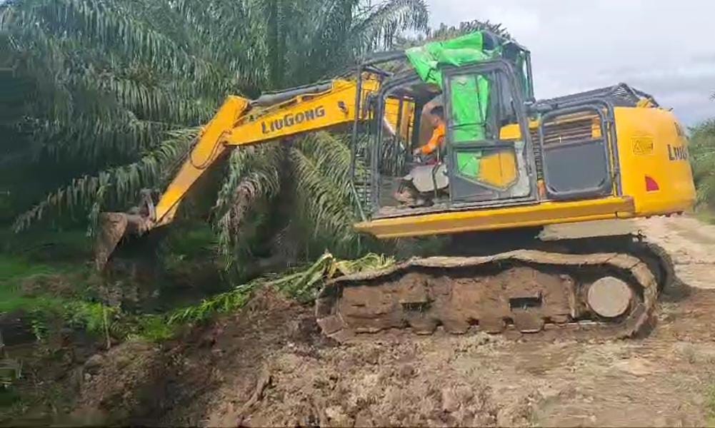 Kebocoran Kolam Penampungan Limbah Cair PT Ichiko Agro Lestari Telah Ditangani, Limbah yang Terlanjur Tercemar?