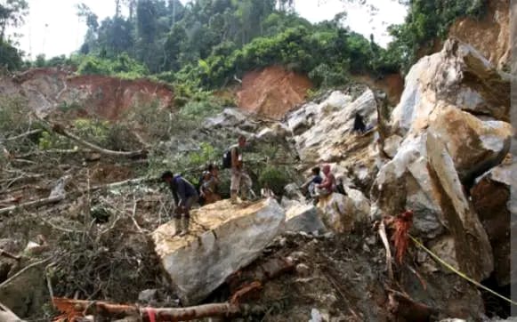Longsor Tambang Ilegal, 15 Meninggal Dunia