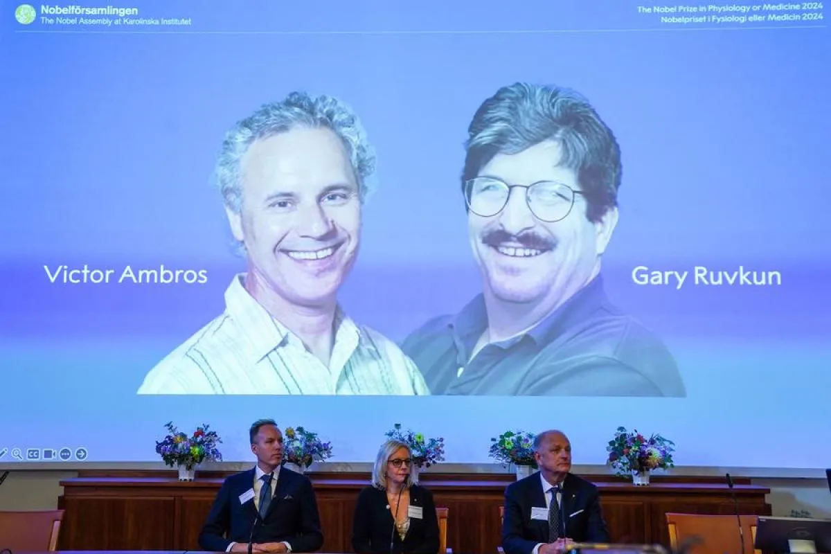 Temukan terkait microRNA, Dua Ilmuwan AS Raih Penghargaan Nobel