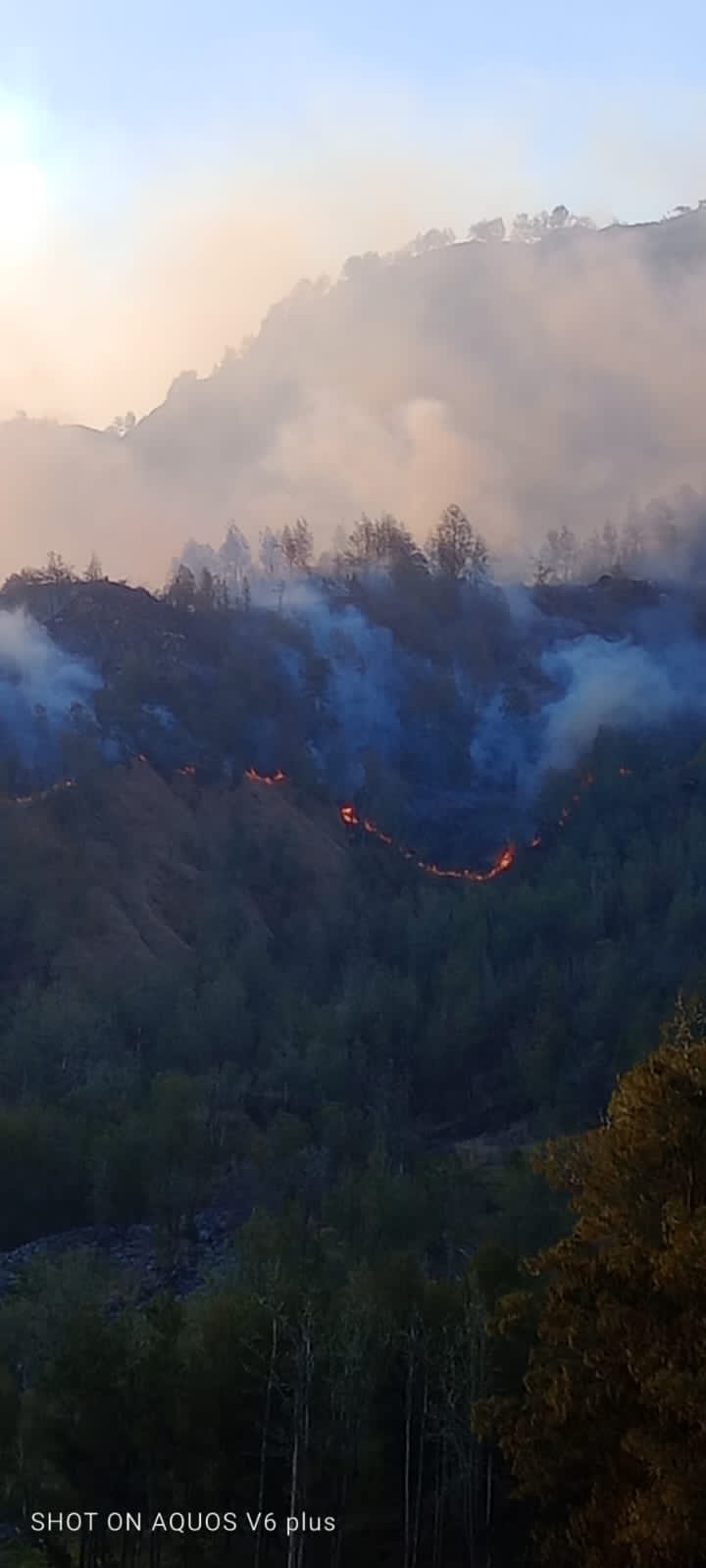 95 Persen Karhutla Kawasan Hutan BTNG Rinjani Berhasil Dipadamkan
