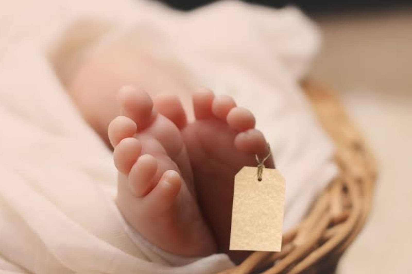 Wanita di Sambas Diduga Bunuh Bayi Demi Sembunyikan Aib Perselingkuhan