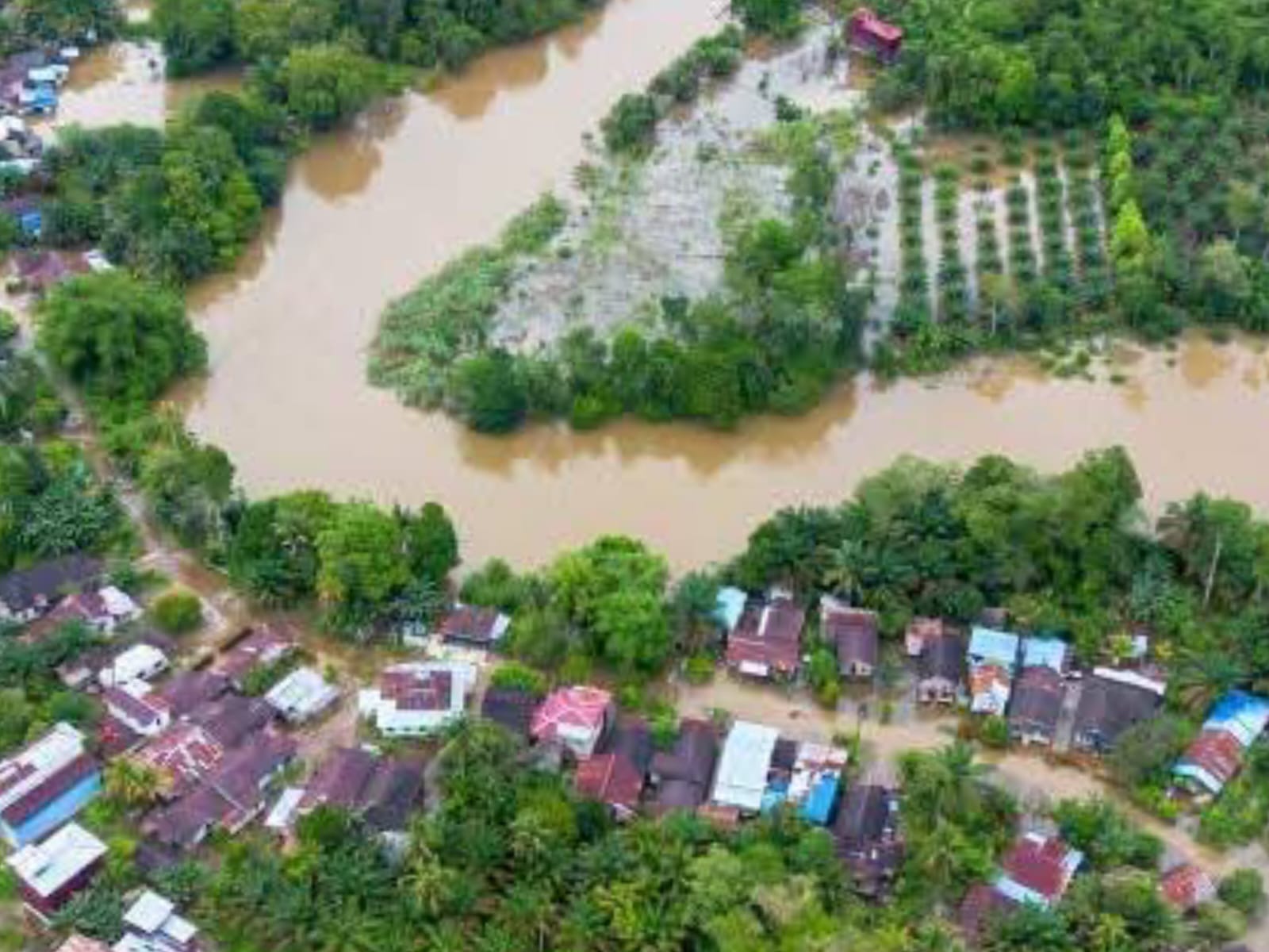 Bengkayang Terdampak Banjir: 725 Hektare Lahan Pertanian Rusak, Kerugian Capai Rp17 Miliar