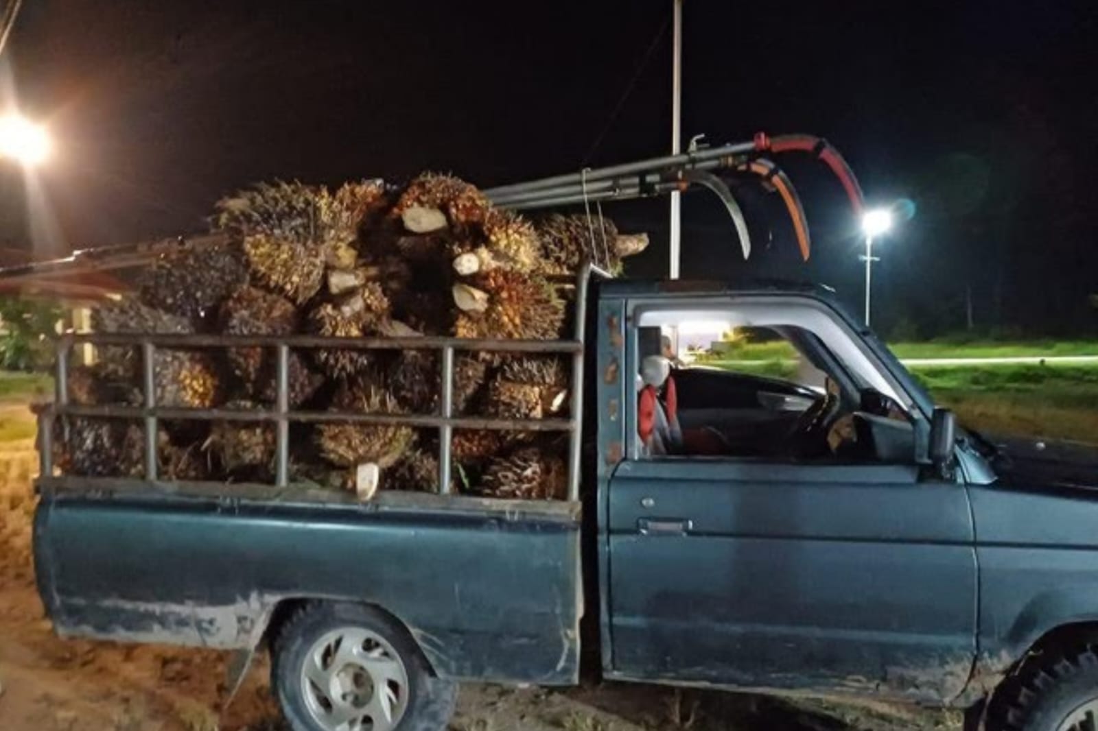Dua Pria Tertangkap Basah Curi Sawit di Sambas, Mobil dan 90 Janjang TBS Disita