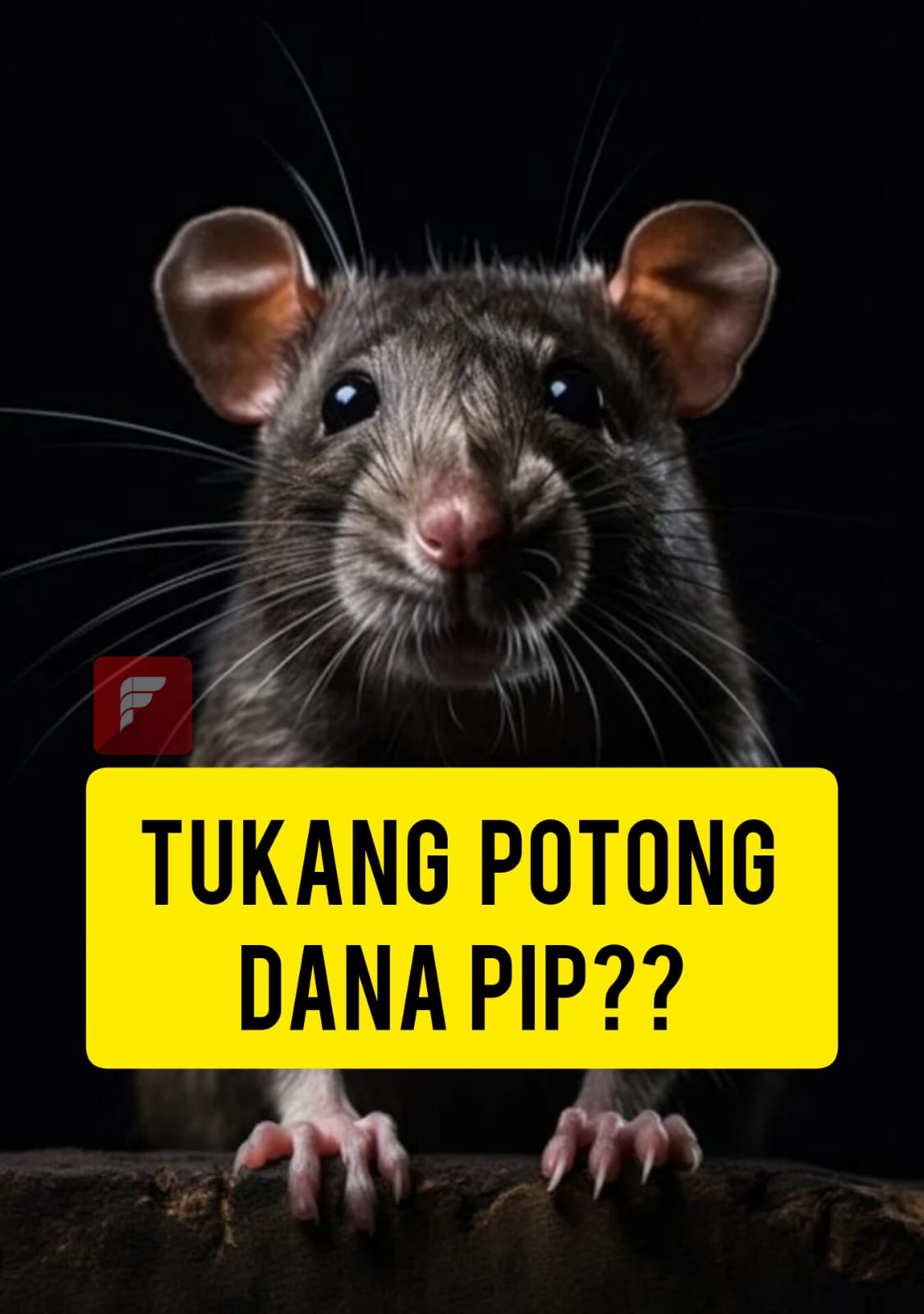 Pemotongan Dana PIP di SMP 3 Teluk Keramat Capai Rp 350 Ribu Per Siswa, Polres Sambas Bergerak Cepat