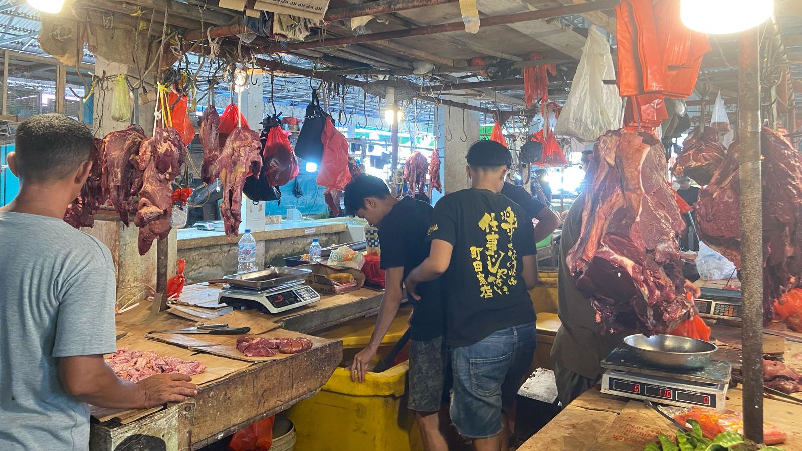 Pedagang Sapi Lokal Sintang Sepi Pembeli Akibat Daging Impor Lebih Murah: Pemerintah Diminta Segera Urus Masalah Ini
