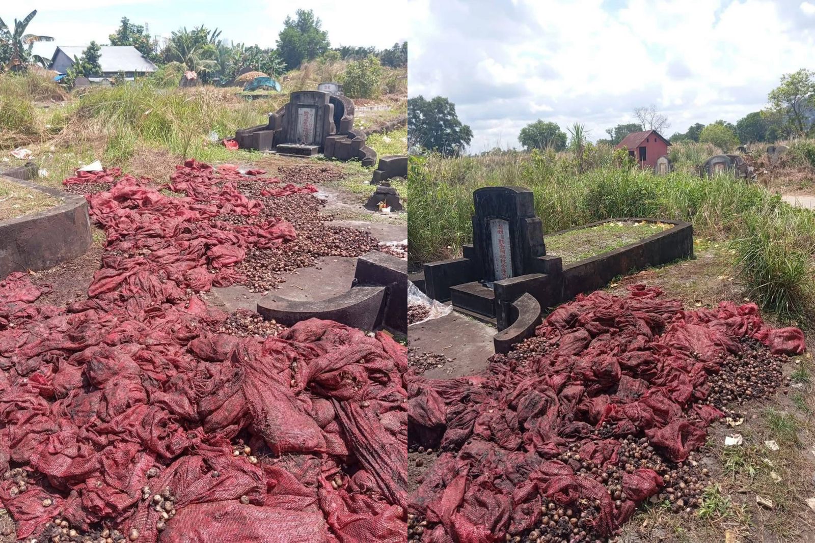 Puluhan Karung Bawang Busuk Dibuang di Pemakaman Thiong Hua di Singkawang