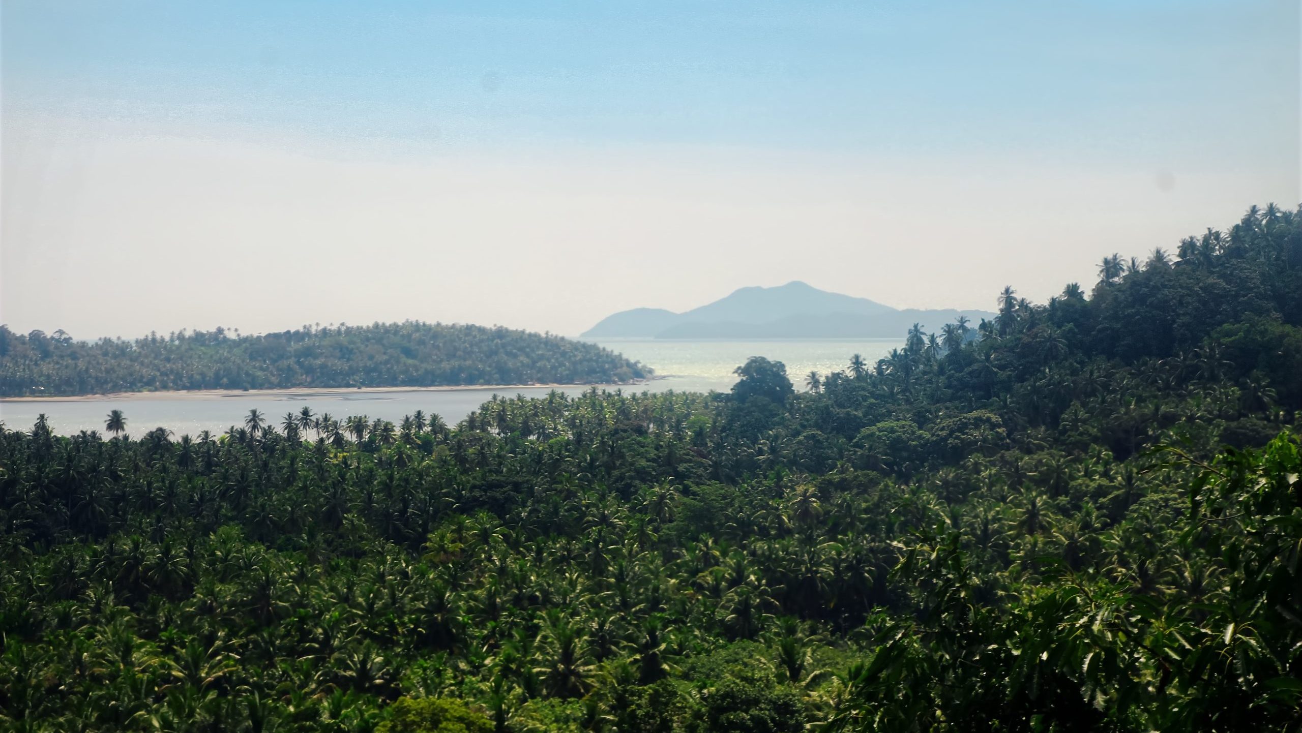 BRIN dan BMKG Kaji Potensi Tsunami di Lokasi Rencana PLTN Pantai Gosong