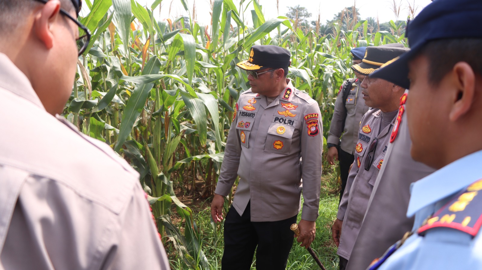Polda Kalbar Dorong Ketahanan Pangan: Kunjungi Lahan Jagung dan Pabrik “Pangan Merah Putih”