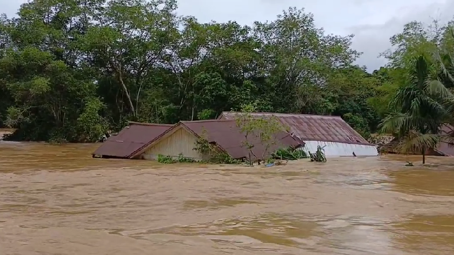 Banjir Parah Rendam Segah Berau, Ketinggian Air Capai 5 Meter