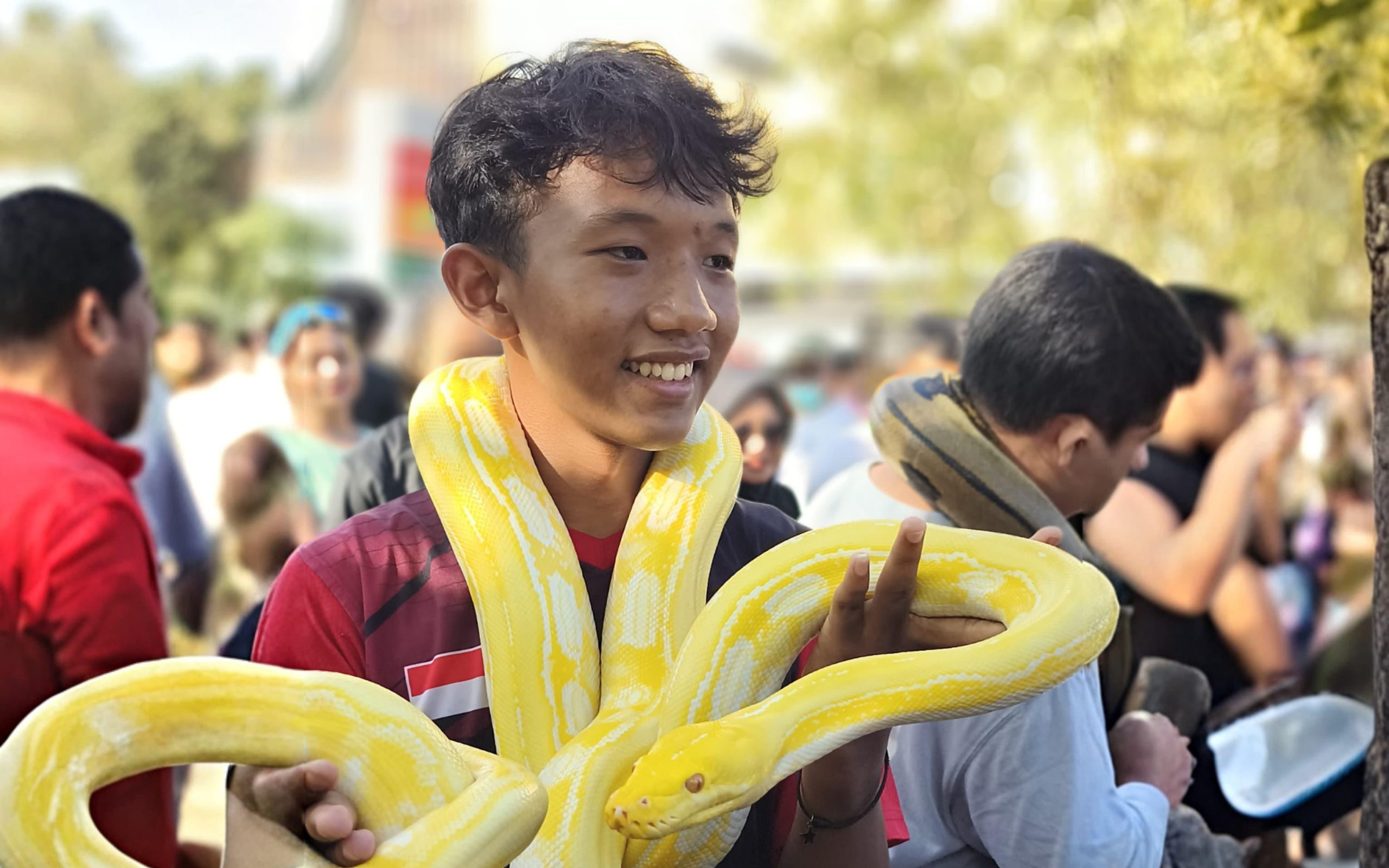 Komunitas IEP Hadir di CFD Pontianak, Kenalkan Hewan Eksotis ke Warga