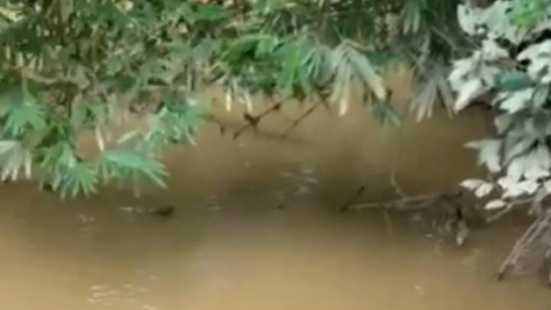 Warga Balai Gemuruh Krisis Air Bersih Akibat Sungai Tercemar PETI