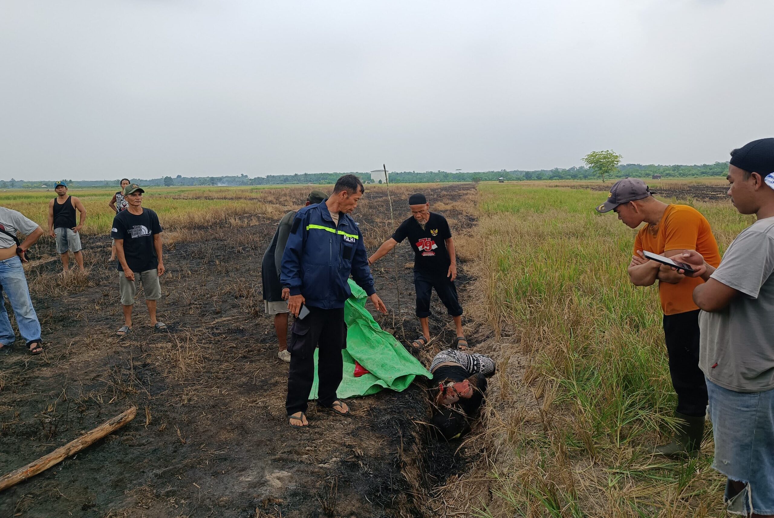 Mayat Perempuan Ditemukan di Sawah Desa Semata, Diduga Meninggal Akibat Luka Bakar
