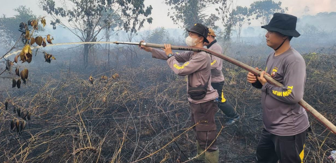 Api Karhutla Dekat Jembatan Tayan Meluas, 7 Hektare Lahan Terbakar