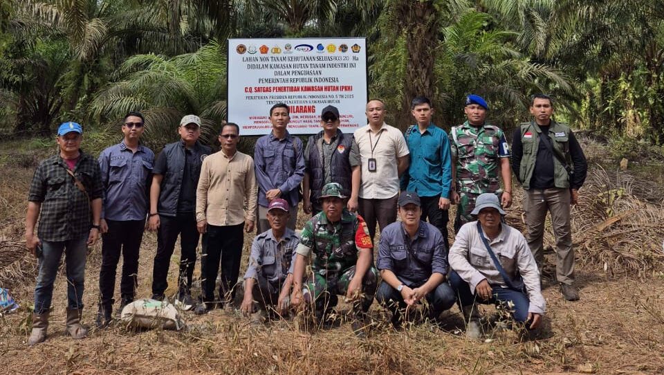 Satgas Kejagung Sita Ribuan Hektare Kebun Sawit Ilegal di Hutan Belitung