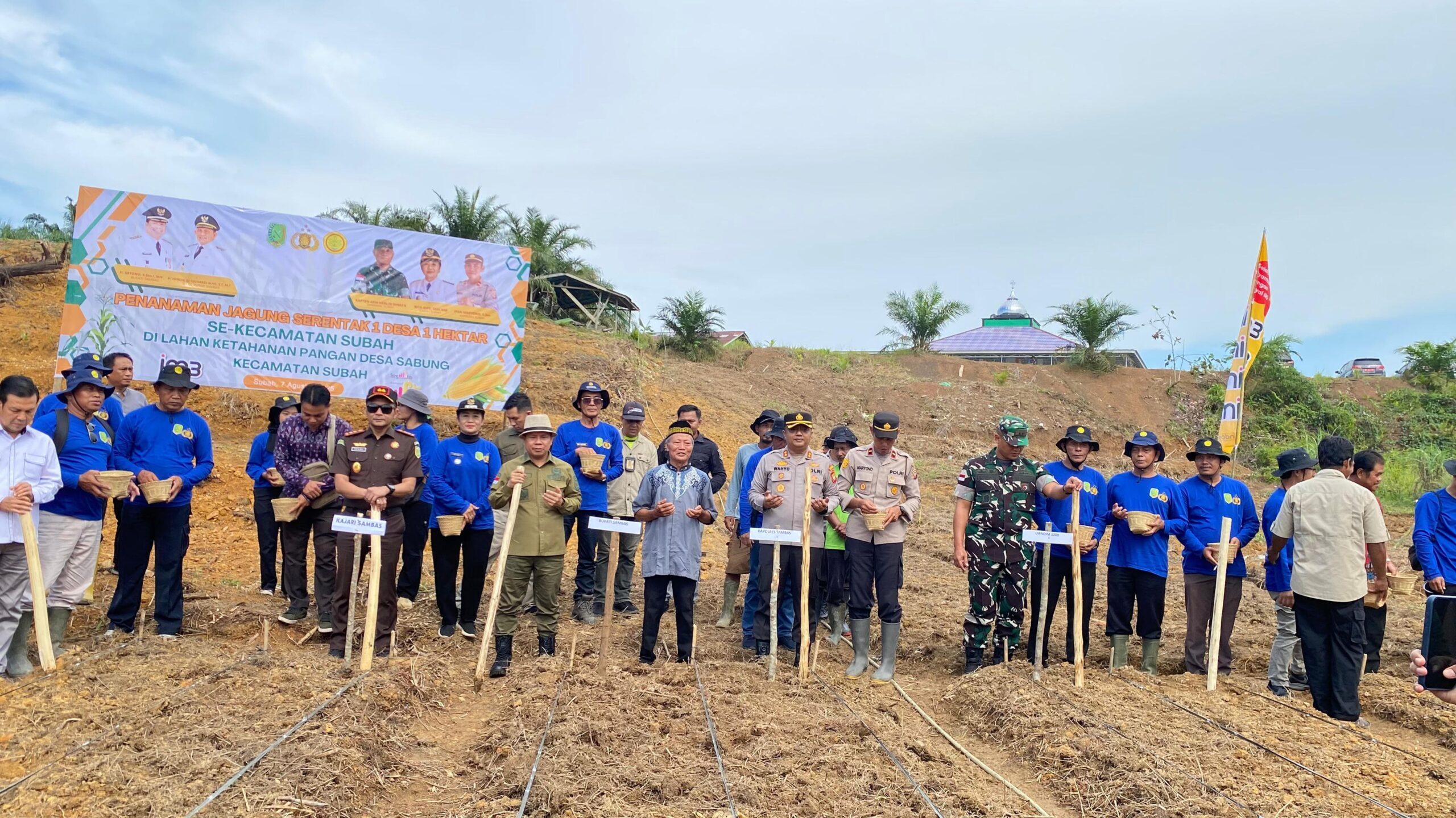 Dari Lahan Satu Hektare, Subah Sambas Siap Perluas Sentra Jagung Lokal