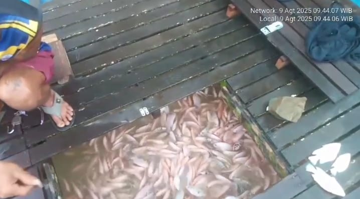 Diduga Dibekingi Oknum, Tambang Emas Ilegal Menggerogoti Sungai Sekadau