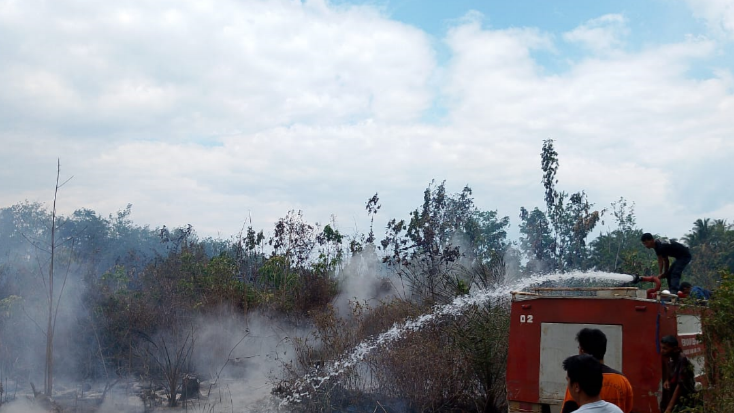 BNPB Catat Kebakaran Hutan, Longsor di Ambon, dan Gempa M5,8 di Poso pada 17 Agustus 2025