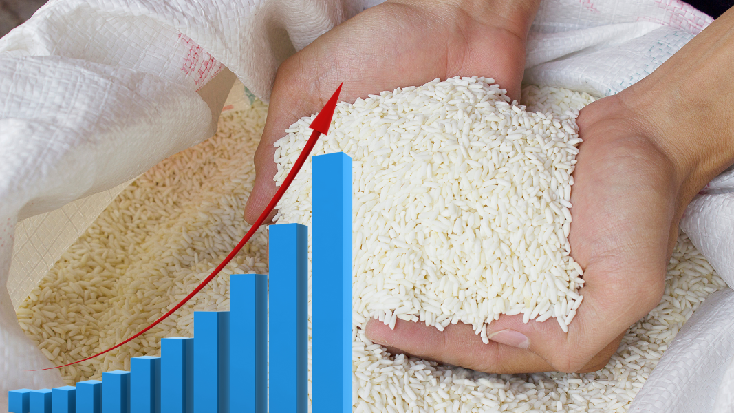 Harga Beras Tembus Rp60 Ribu per Kg, BPS Catat Kenaikan di 200 Daerah
