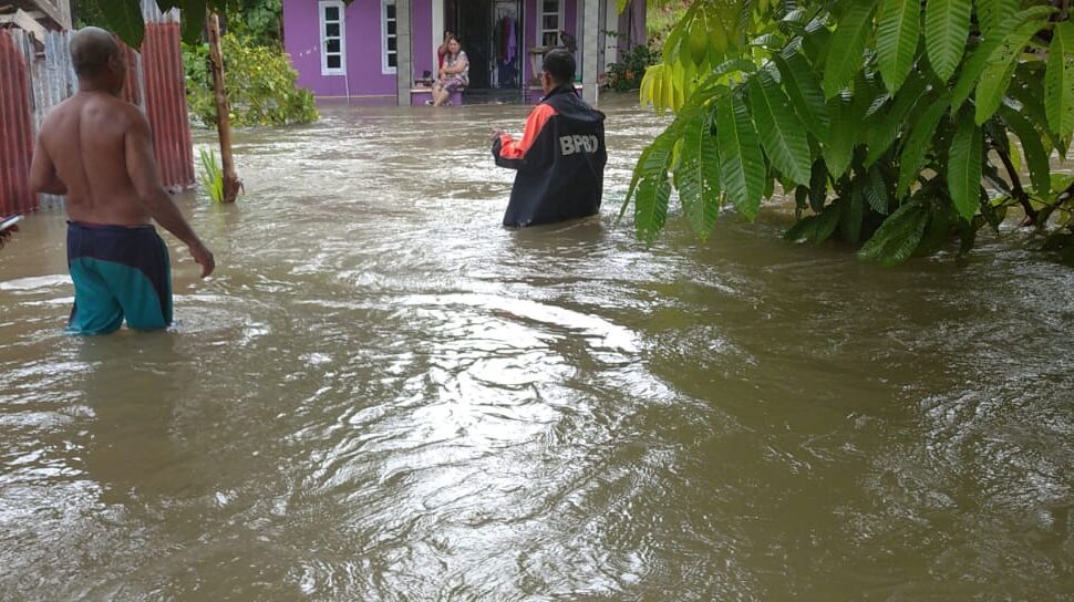 Laporan Terkini BNPB: Banjir dan Karhutla Landa Sejumlah Wilayah Indonesia