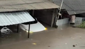 Banjir di Bali Renggut Dua Nyawa dan Rendam Lima Kabupaten/Kota