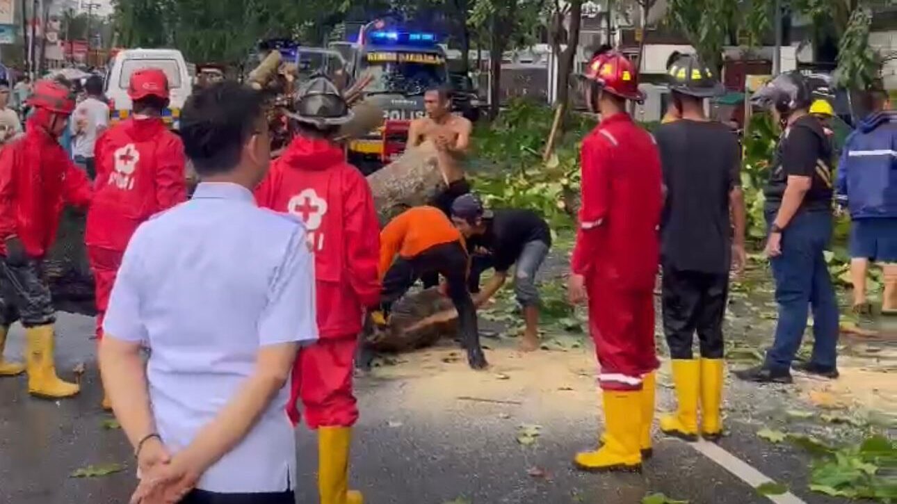 Hujan Angin di Pontianak, Wali Kota Edi Kamtono Turun Langsung Pantau Evakuasi Pohon Tumbang