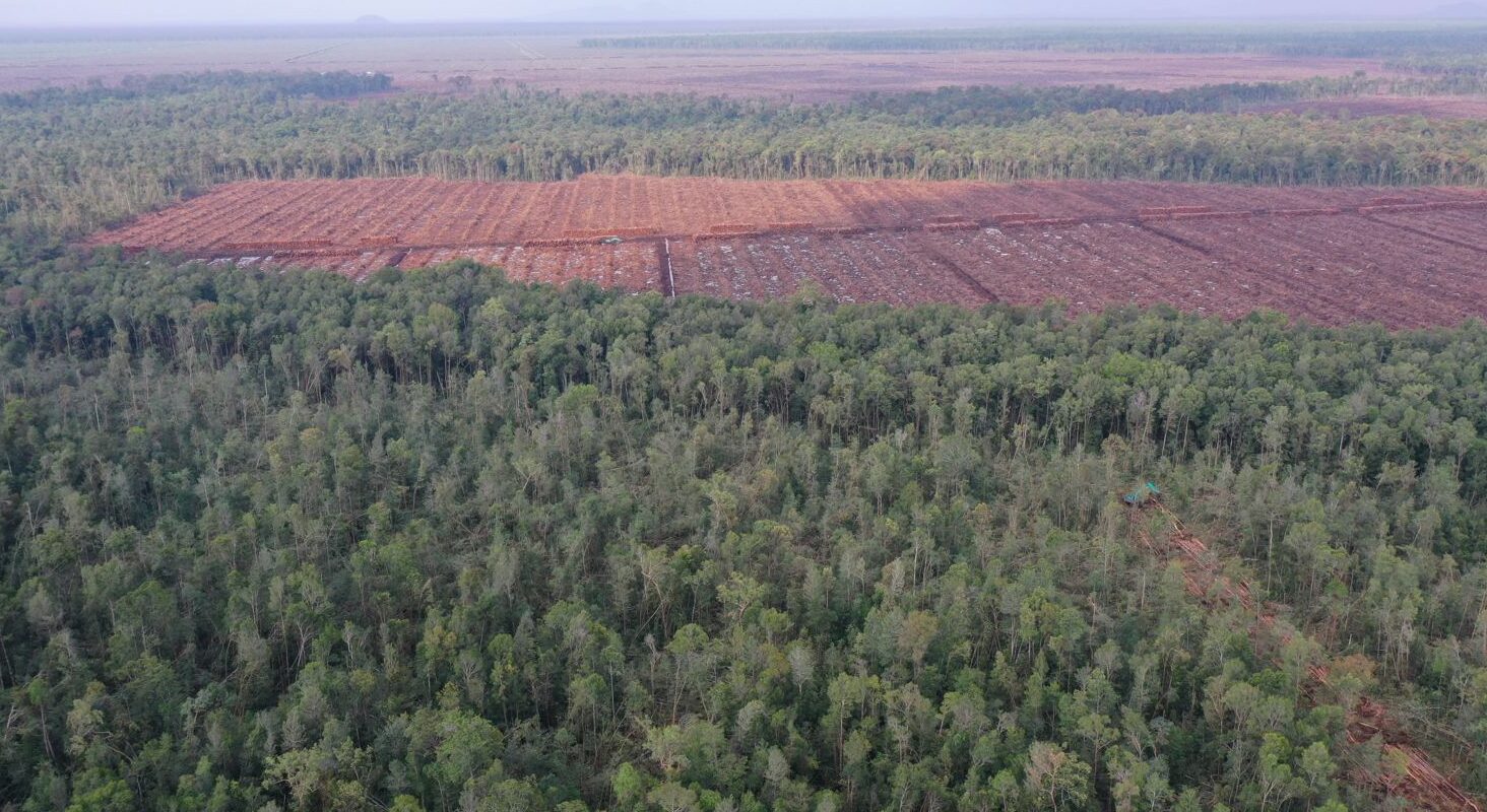 Konflik Agraria Memanas, Petani Kalbar Desak Pemerintah Atasi Perampasan Lahan