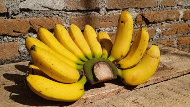 Manfaat Pisang untuk Kesehatan: Mengapa Buah Ini Wajib Ada di Menu Harianmu
