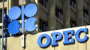 OPEC+ Naikkan Produksi Minyak 137.000 Barel per Hari Mulai Desember 2025
